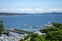 250621_腰越〜七里ヶ浜方面