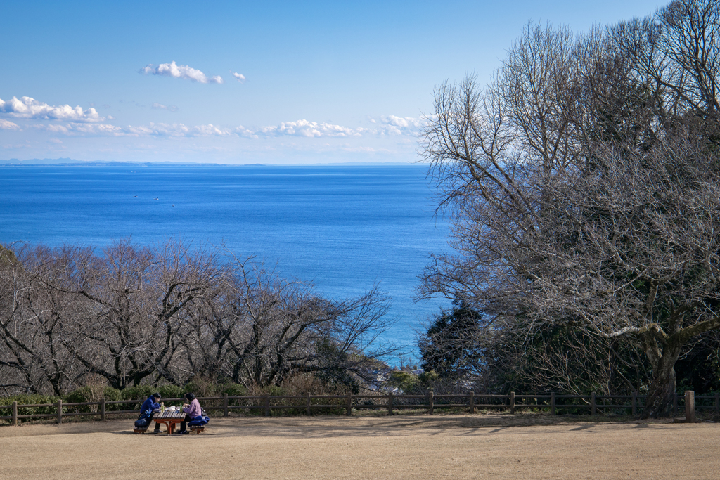 250102_吾妻山公園1