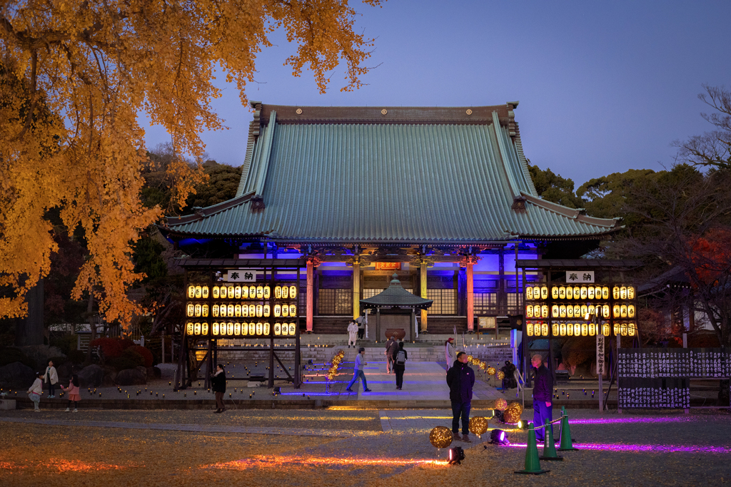 241215_遊行寺ライトアップ