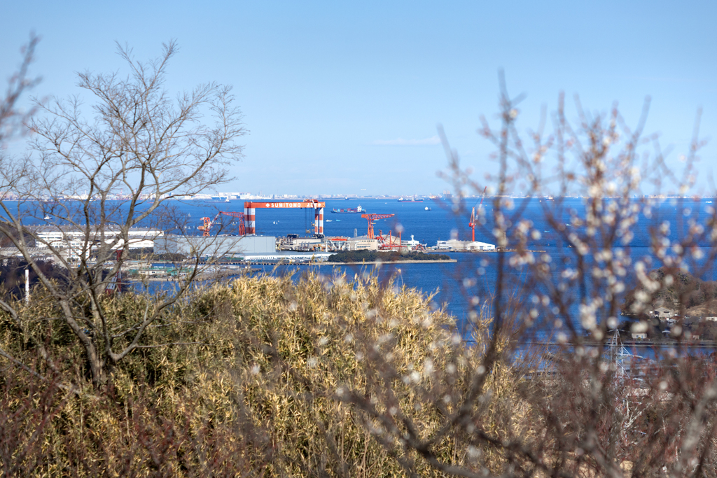 260130_横須賀造船所