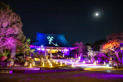 251205_遊行の光2