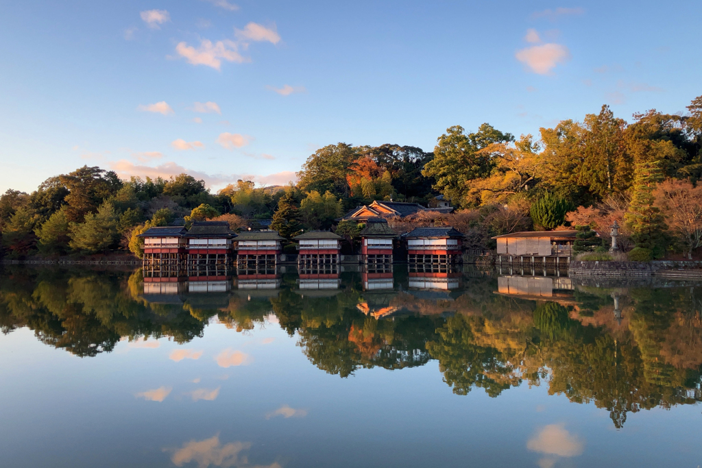 朝の八条ヶ池