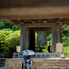 250823_夏の建長寺