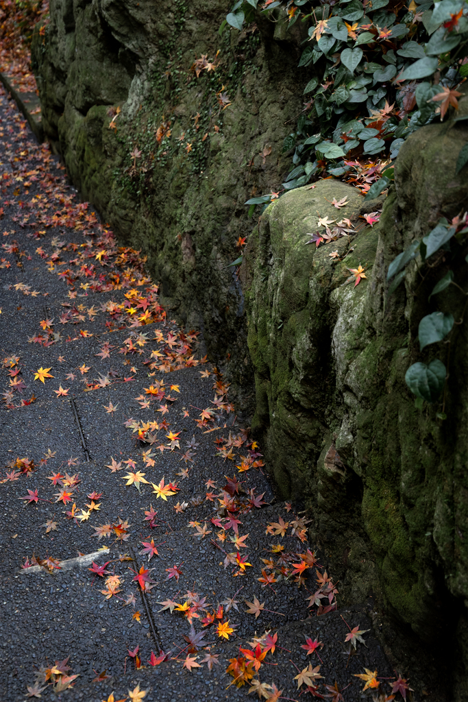 251221_江島神社参道2