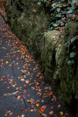 251221_江島神社参道2