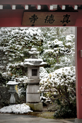 260208_雪の遊行寺いろは坂から