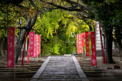 241023_遊行寺いろは坂
