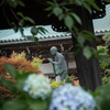 250615_遊行寺の遊行上人像