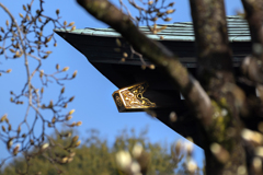 250313_遊行寺の隅木飾り