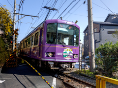 250302_嵐電カラーの江ノ電