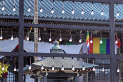 240918_遊行寺本堂前