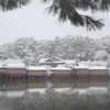 150101_雪の八条ヶ池