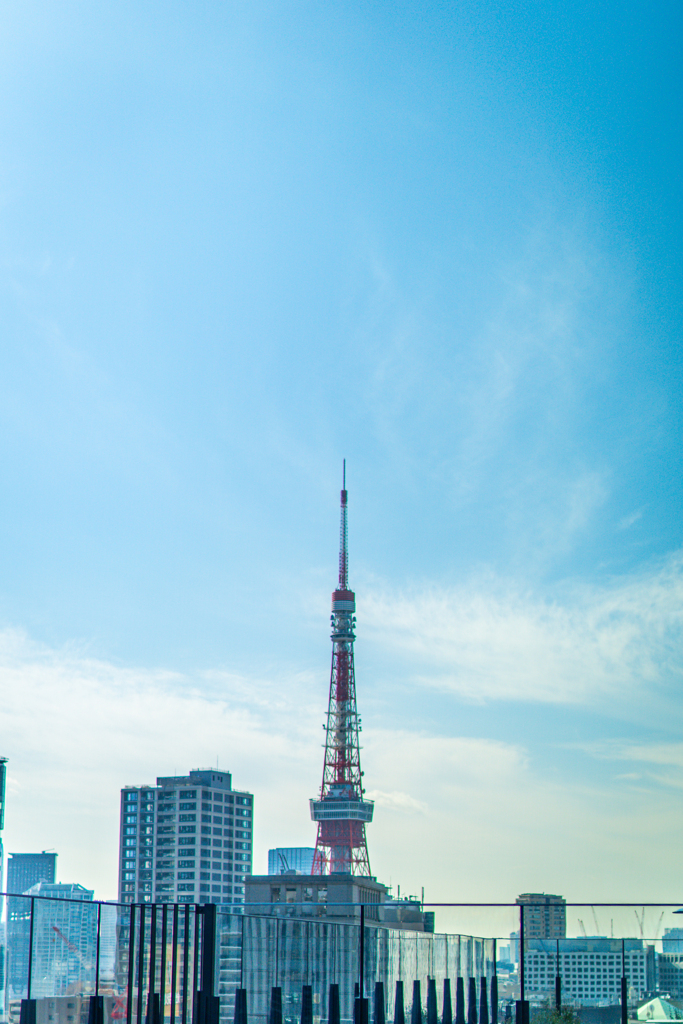 東京タワーと青空