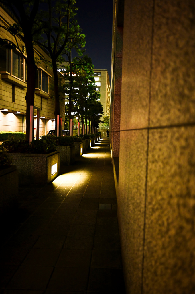 中之島日本銀行大阪支店②