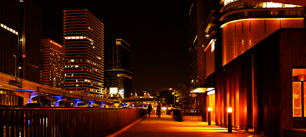 中之島堂島川　夜景