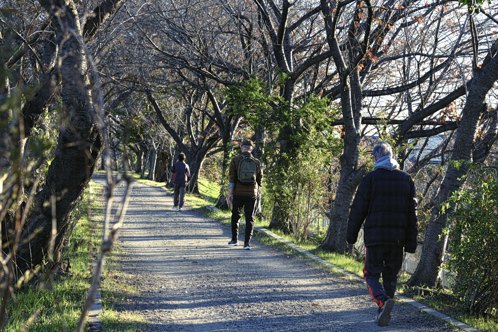 車間距離を保ってウオーキング