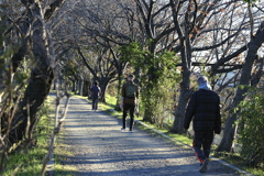 車間距離を保ってウオーキング