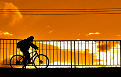 堤防のフェンス 堤防のフェンス