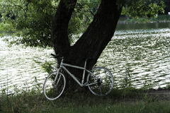 池に白い自転車