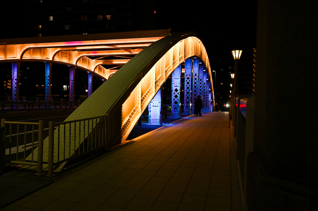 大阪中之島堂島川　堂島大橋