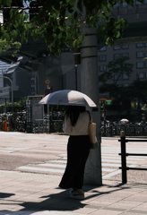 電柱の影でも入りたい