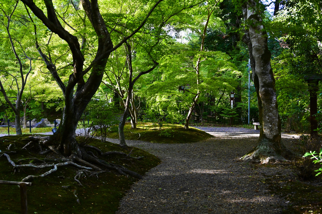 京都長岡天満宮