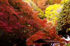 大山崎山荘美術館庭園