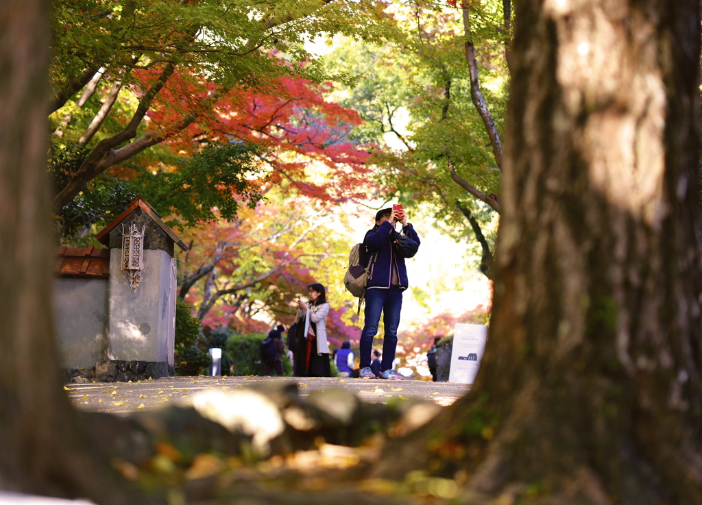 大山崎山荘美術館