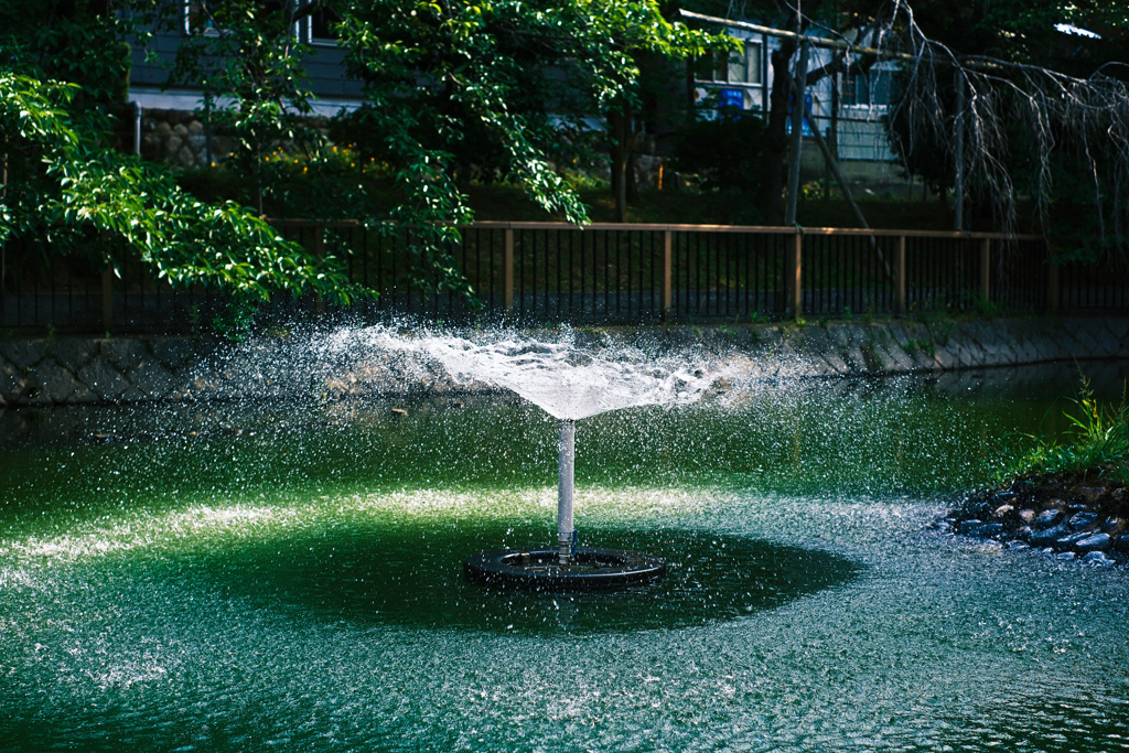 筒井池の噴水