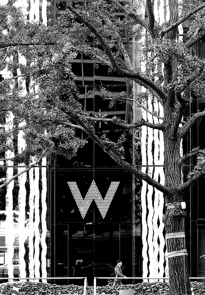 W