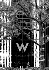 W