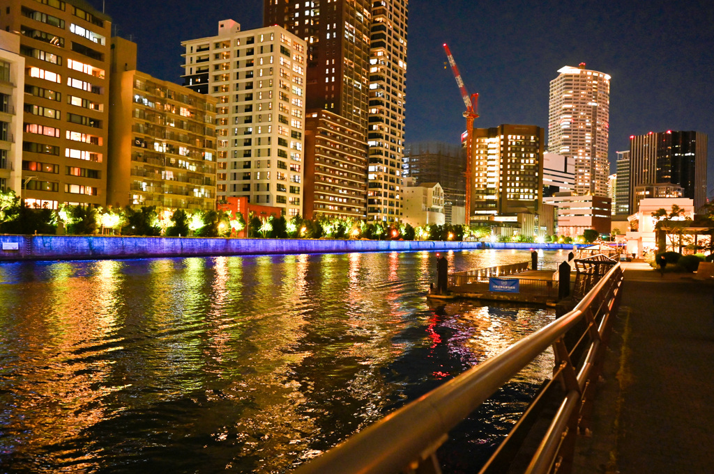 中之島　堂島川の夜景