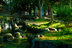 いつもの涼をとる公園