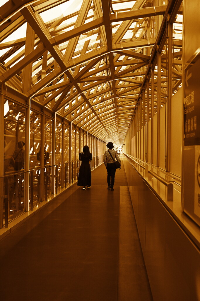 京都駅ビルSKYWAY