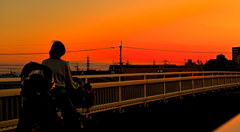 My photo spot