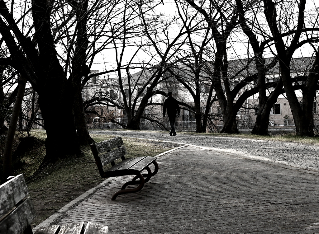 My photo spot