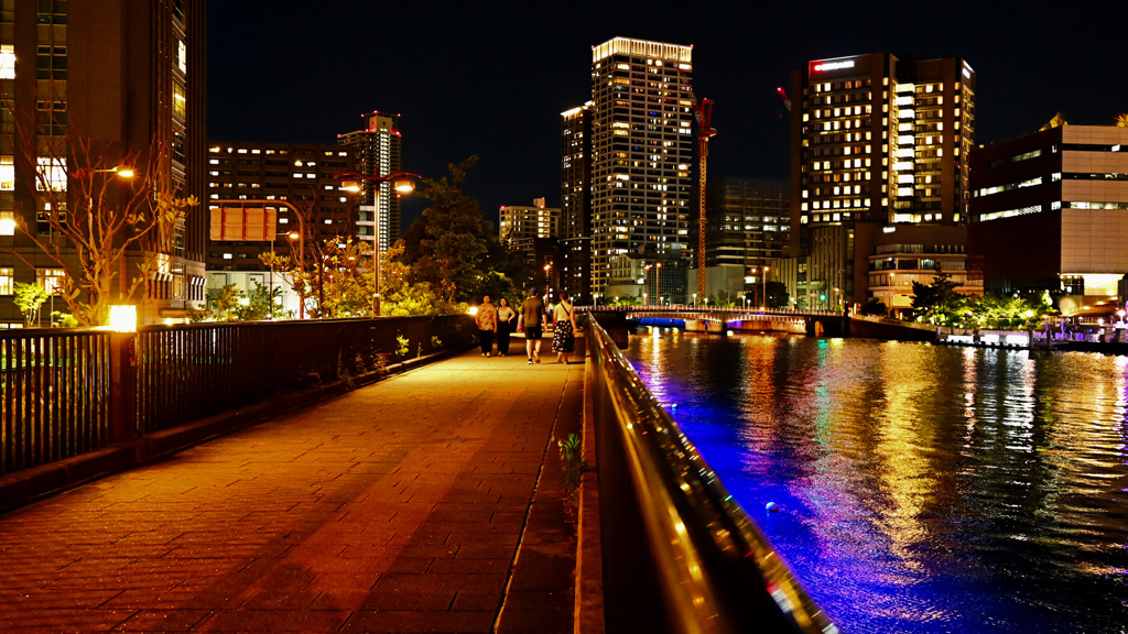 中之島　夜の堂島川