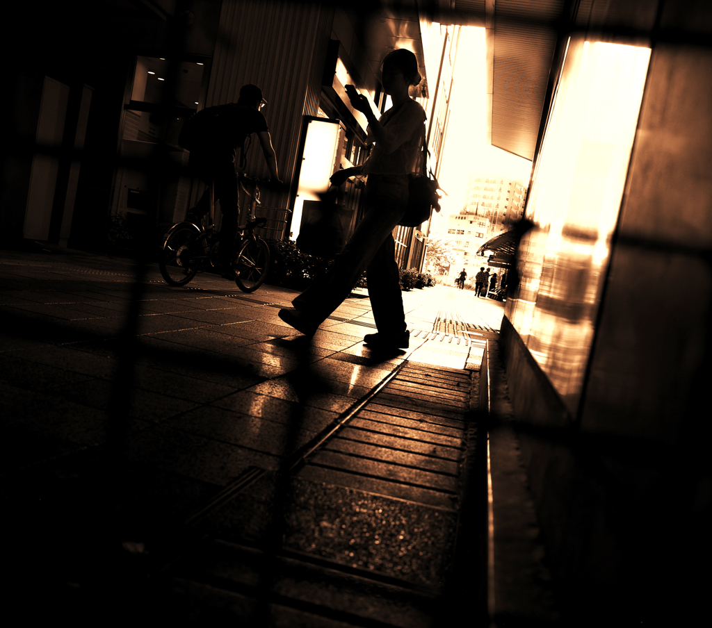 金網越しの瞬間