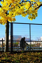 秋を感じながら