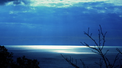 光る海