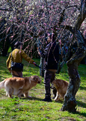 愛犬家さん