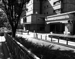 初夏の日銀前