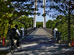 大阪山田池公園美月橋