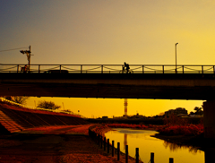 橋の夕景