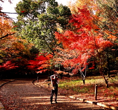 紅葉を撮る人