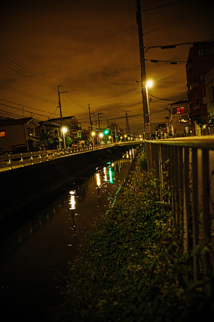 近所の夜景