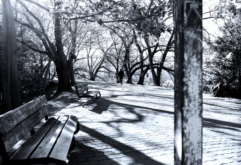 My photo spot