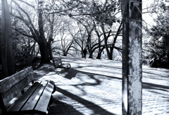 My photo spot