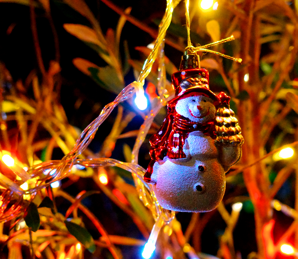 オリーブの木とクリスマスデコ