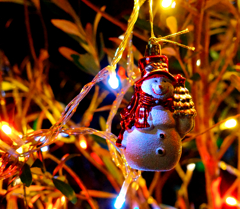 オリーブの木とクリスマスデコ